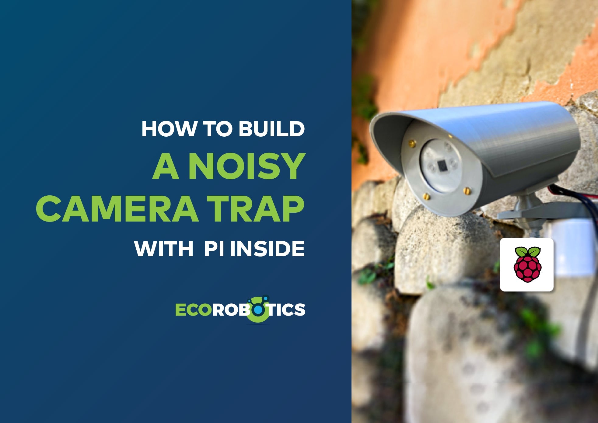 HOW TO BUILD A NOISY CAMERA TRAP WITH PI INSIDE