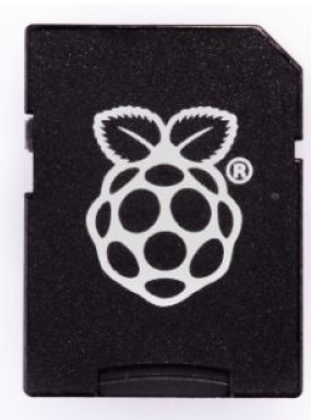 RASPBERRY PI Micro SD to SD Adapter