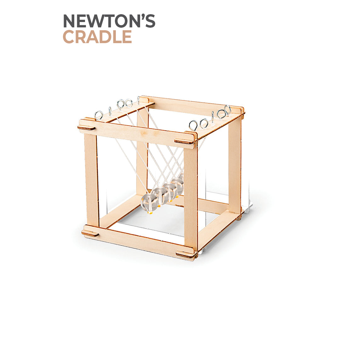 BUBBLEGUM Wood STEM Newtons