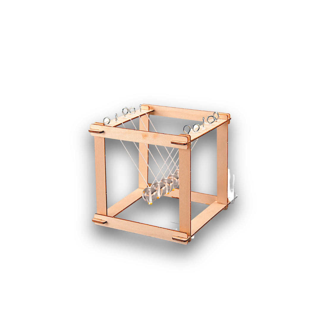 BUBBLEGUM Wood STEM Newtons