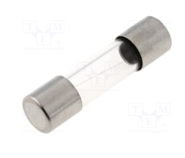 TME SCHURTER FUSES - 100mA 250VAC (Pack of 10)