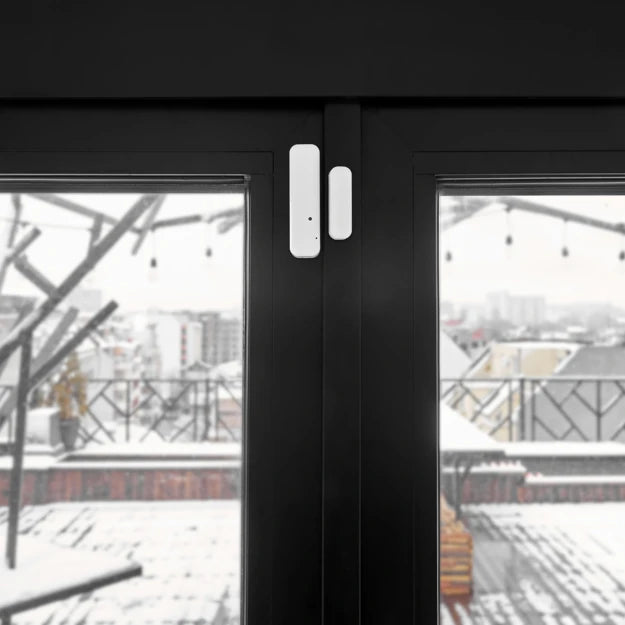 SHELLY Door Window 2