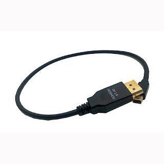 PEBL Cable with mini display port and display port (0.5m)