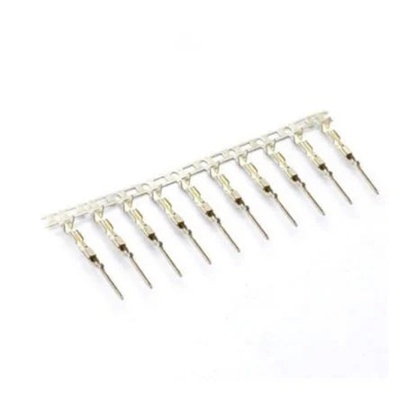 Male Dupont Terminal Connector 2.54mm (Pack of 10)