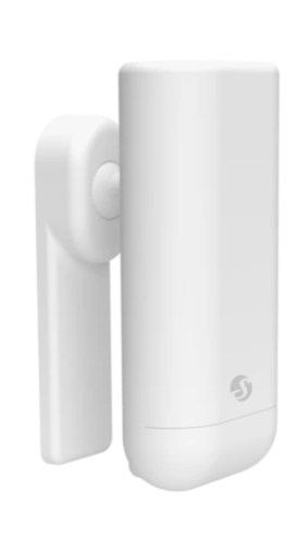 Shelly Motion 2